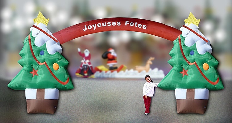 Recharges à Plumes Pour Canne à Pêche Chat - Lot De 10 - Avec Grelot - Jouet Interactif Chaton